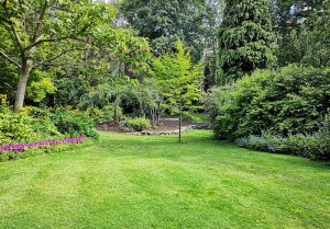 Optimiser l'expérience du jardin à Moissac-Bellevue